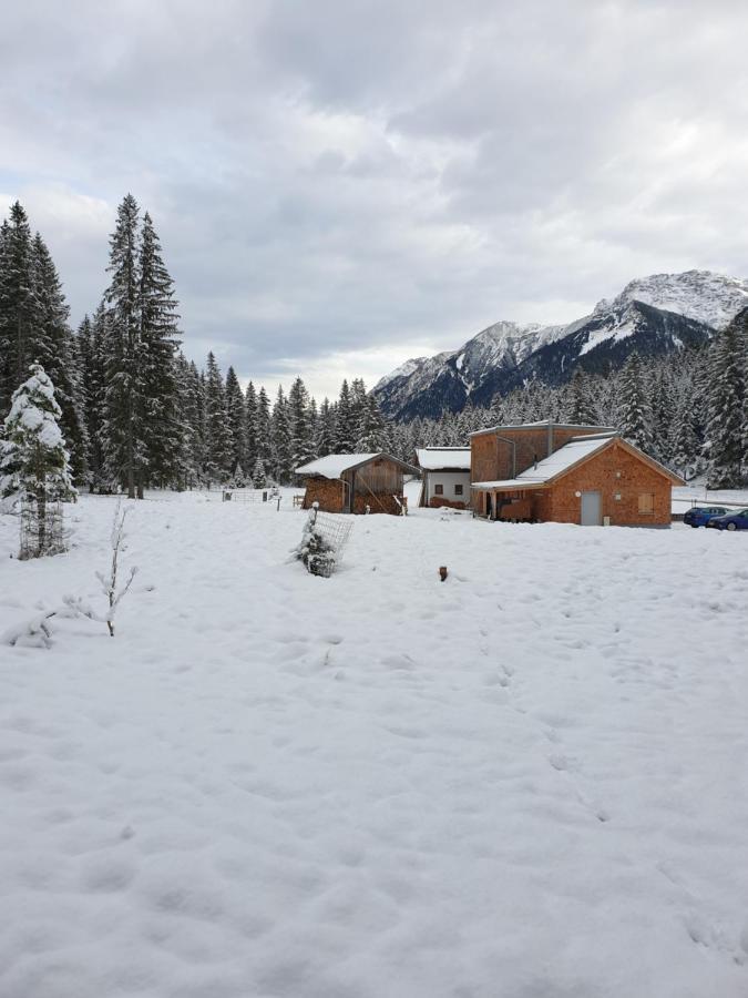 Ammerwald Alm Lago Lago Plansee Esterno foto