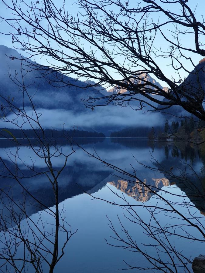 Ammerwald Alm Lago Lago Plansee Esterno foto